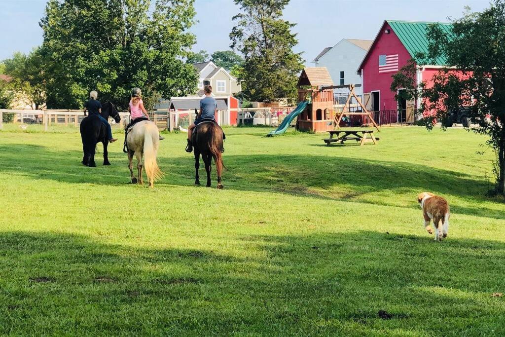 Beautiful Equestrian Estate Home W/ Hot Tub! Loveland Kültér fotó