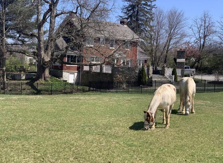 Beautiful Equestrian Estate Home W/ Hot Tub! Loveland Kültér fotó