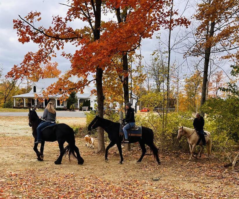 Beautiful Equestrian Estate Home W/ Hot Tub! Loveland Kültér fotó