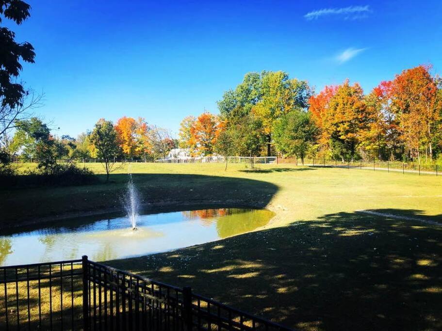 Beautiful Equestrian Estate Home W/ Hot Tub! Loveland Kültér fotó